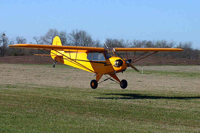 5564 American Legend Cub